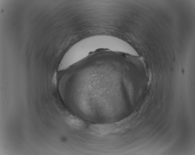 X0000067840041200604271631