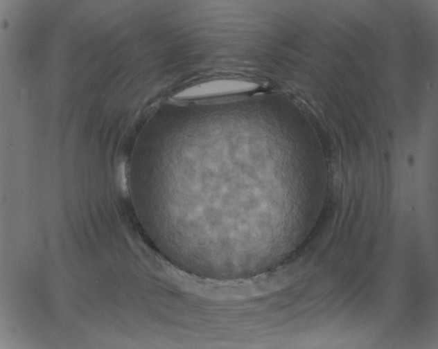 X0000067840042200604271631