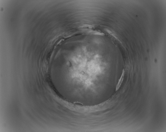 X0000067840043200604271631