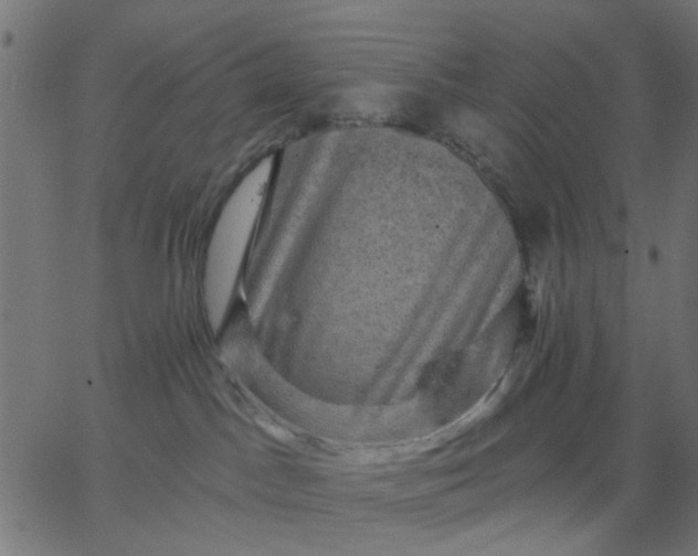 X0000067840045200604271631