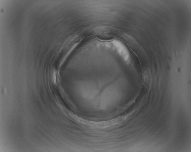 X0000067840046200604271631