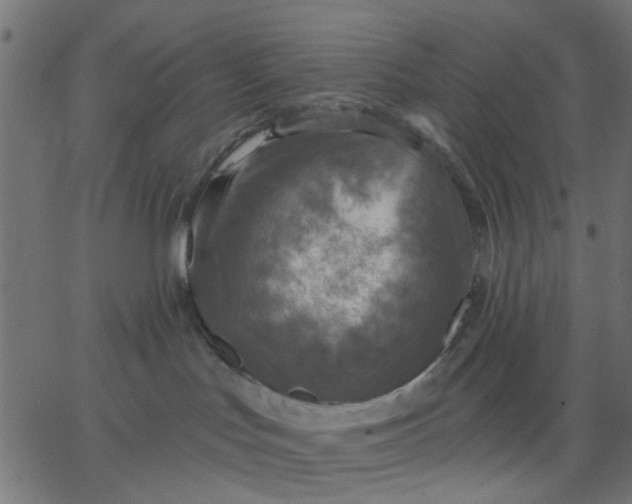 X0000067840047200604271631