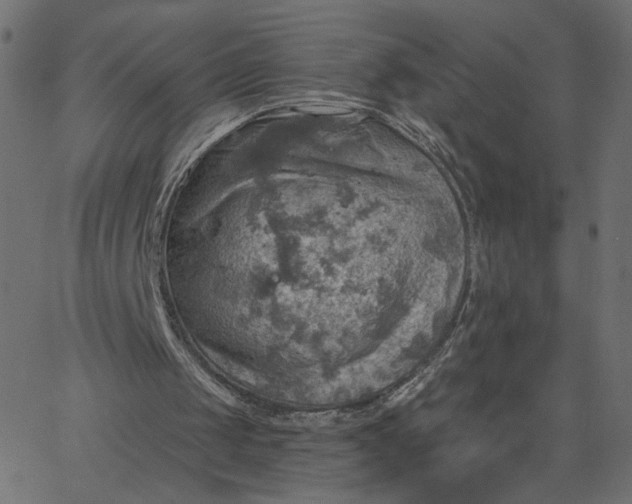 X0000067840049200604271630