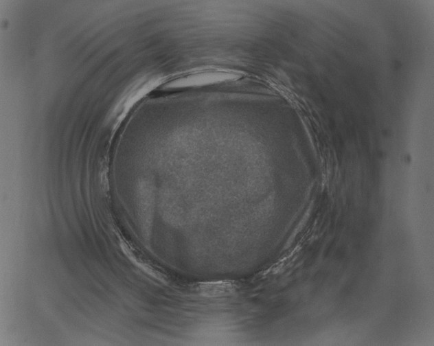 X0000067840050200604271630