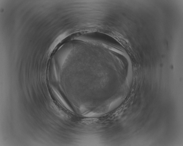 X0000067840051200604271630