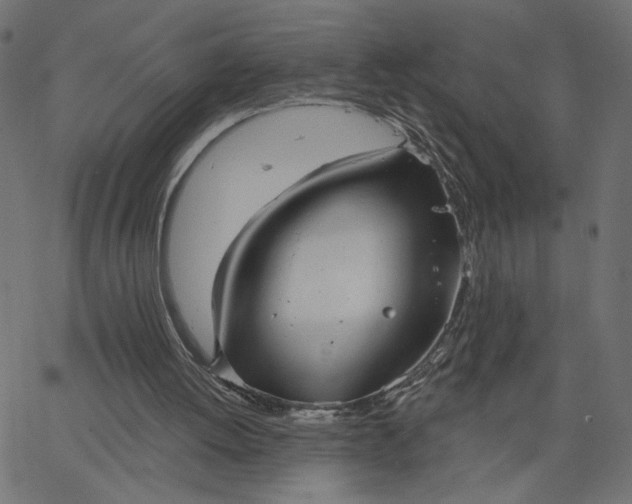 X0000067840052200604271630