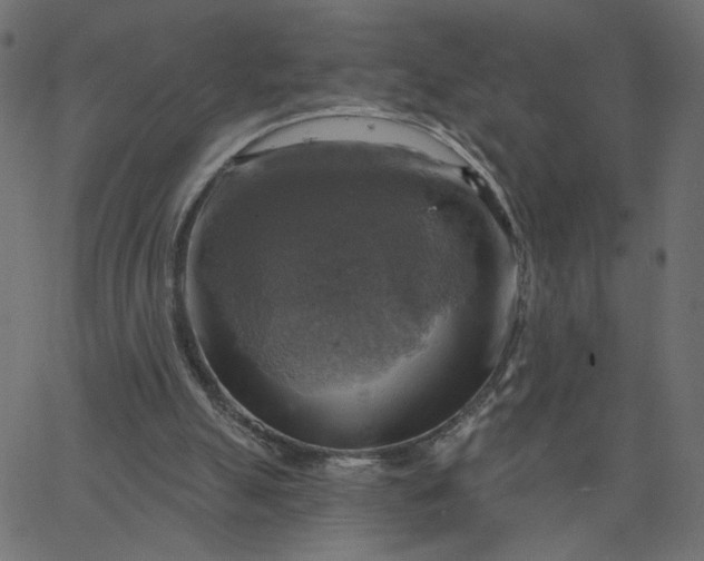 X0000067840055200604271630