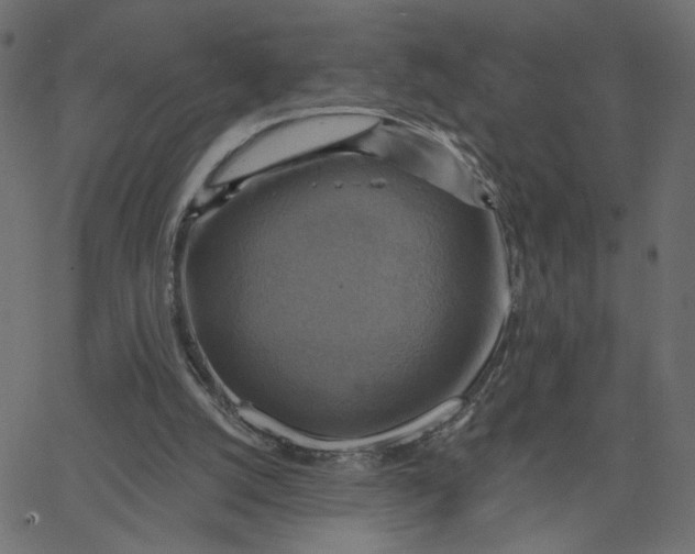 X0000067840056200604271630