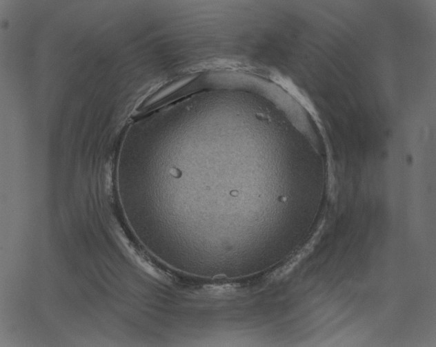 X0000067840057200604271630