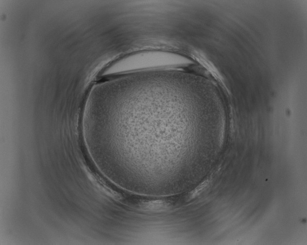 X0000067840058200604271630