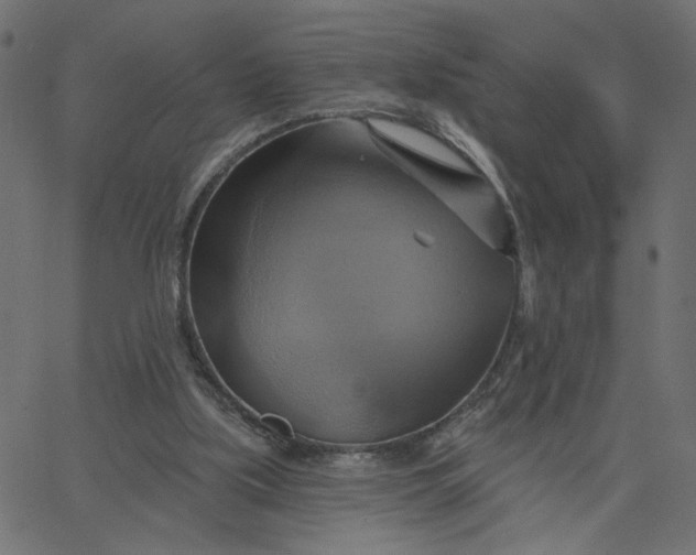 X0000067840059200604271630