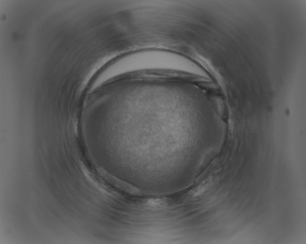 X0000067840060200604271630