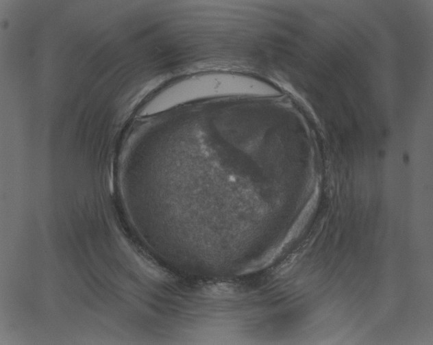 X0000067840062200604271630