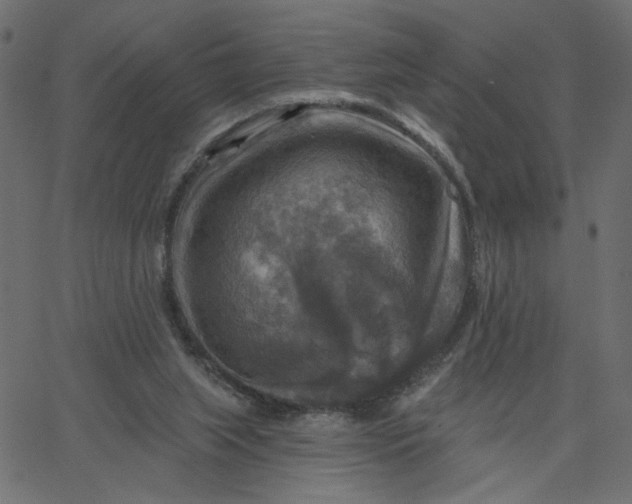 X0000067840063200604271630