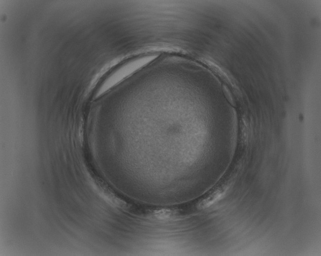 X0000067840064200604271630