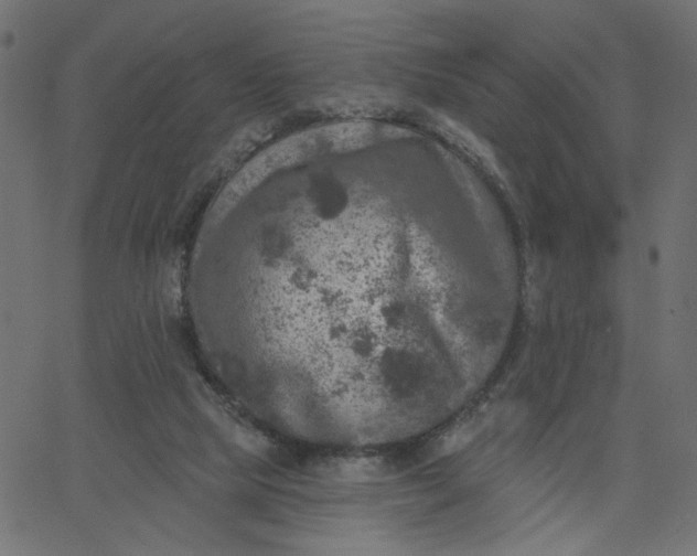 X0000067840065200604271630