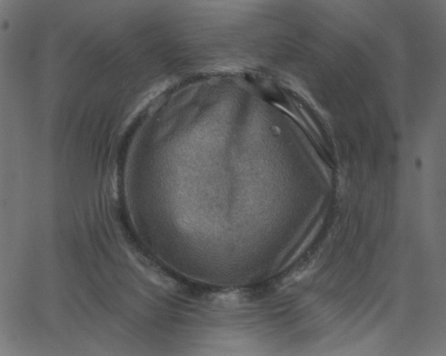 X0000067840068200604271630