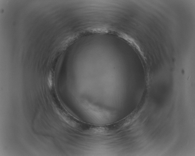 X0000067840069200604271630