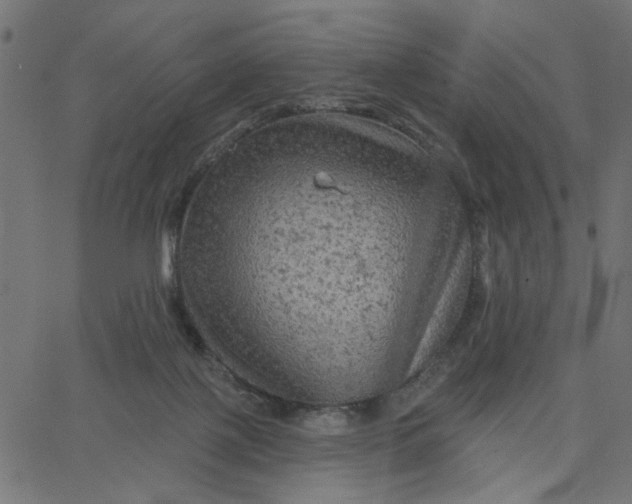 X0000067840075200604271630