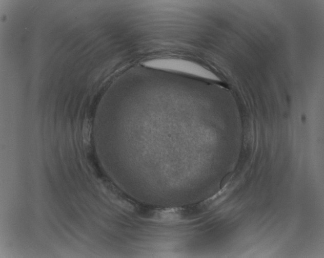 X0000067840078200604271630