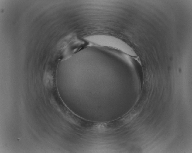 X0000067840080200604271630