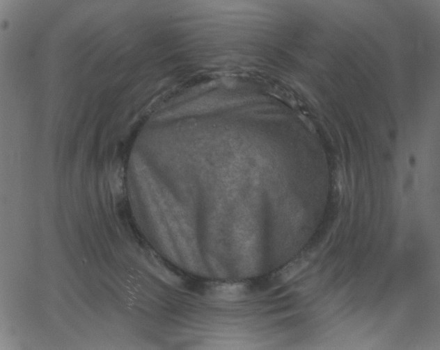 X0000067840081200604271630