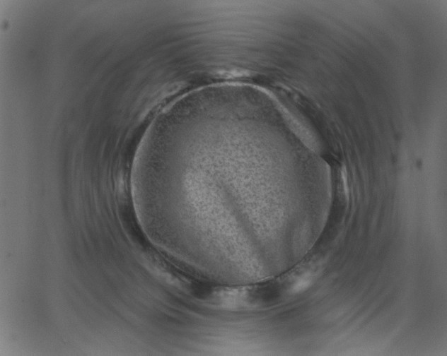 X0000067840084200604271630