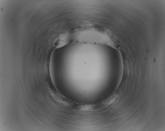 X0000067840088200604271630