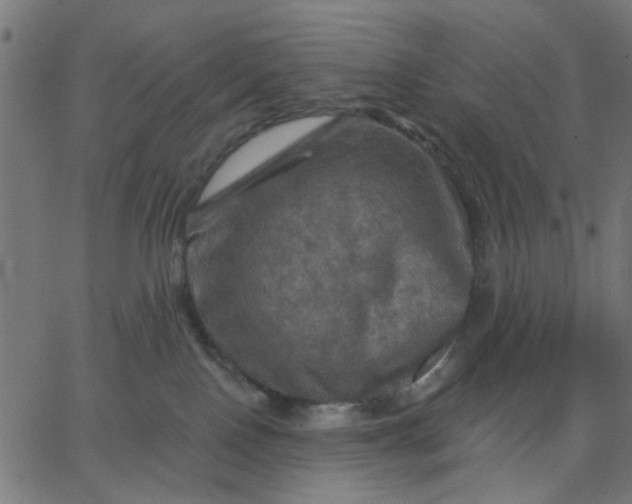 X0000067840090200604271631