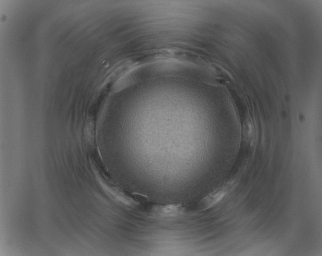 X0000067840092200604271631