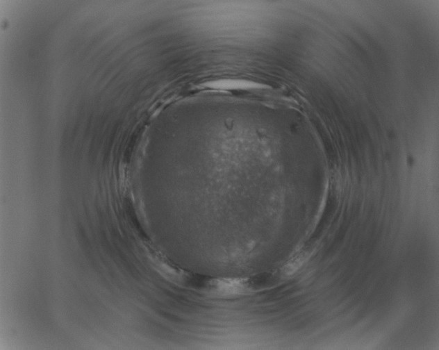 X0000067840093200604271631