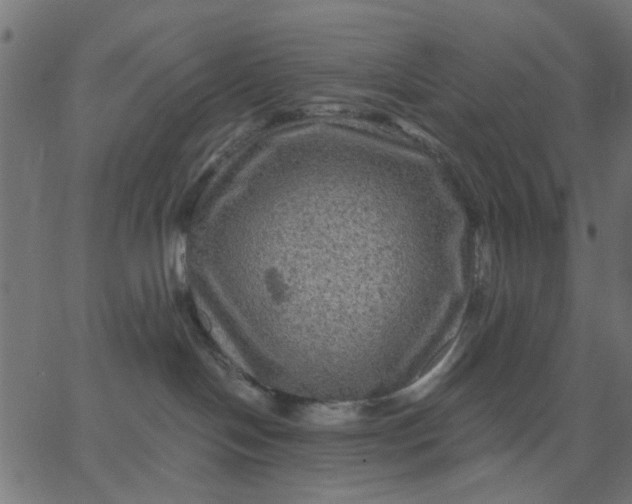 X0000067840094200604271631