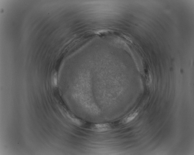 X0000067840095200604271631