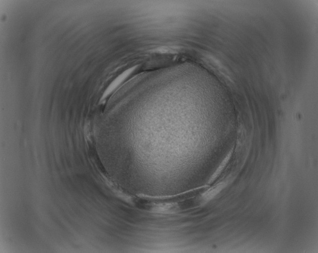 X0000067840096200604271631