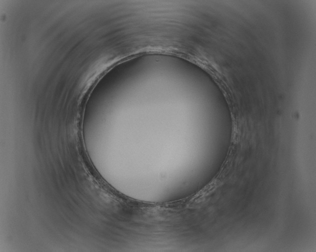 X0000067840098200604271630