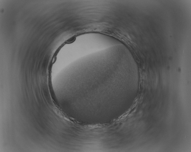 X0000067840100200604271630