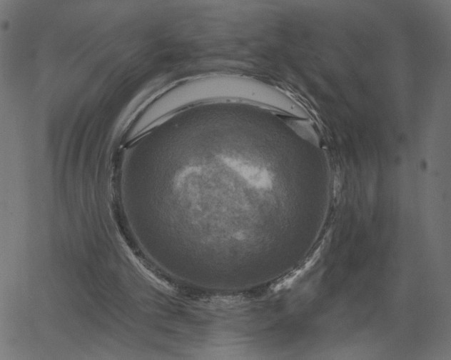 X0000067840101200604271630