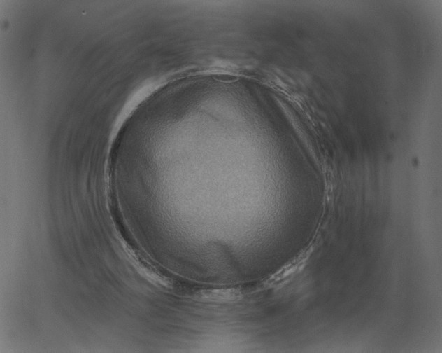 X0000067840102200604271630