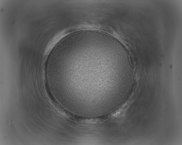 X0000067840103200604271630