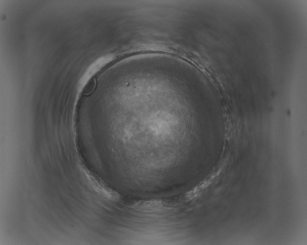 X0000067840104200604271630