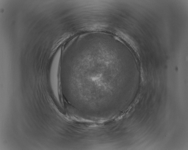 X0000067840105200604271630