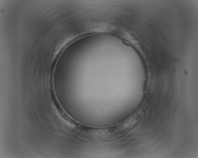 X0000067840106200604271630