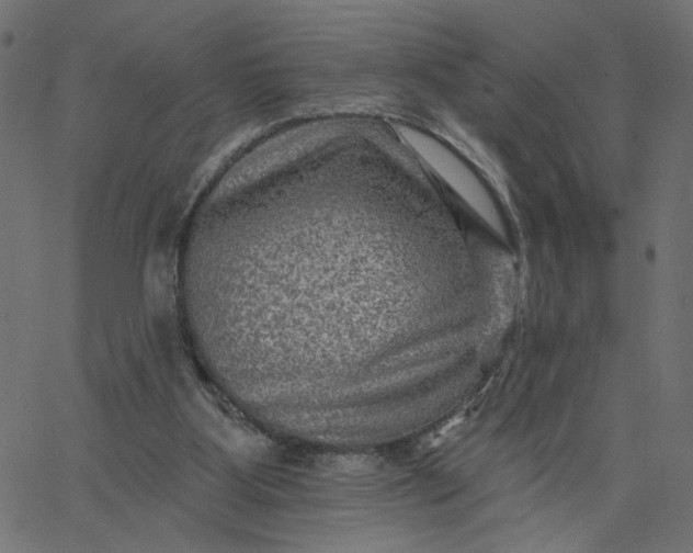 X0000067840107200604271630