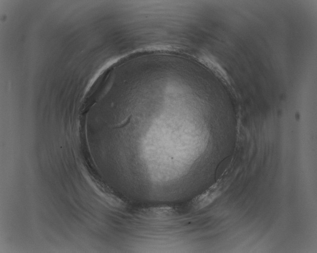 X0000067840108200604271630