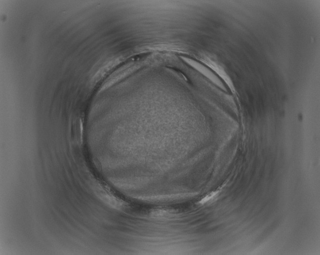 X0000067840109200604271630