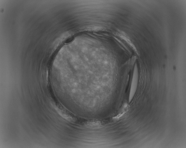 X0000067840110200604271630