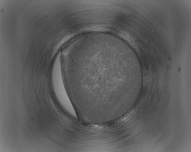 X0000067840111200604271629