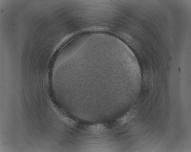 X0000067840112200604271629