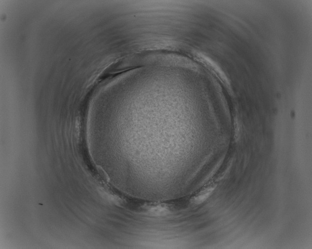 X0000067840113200604271629