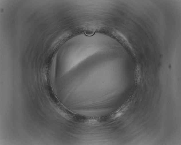 X0000067840114200604271629